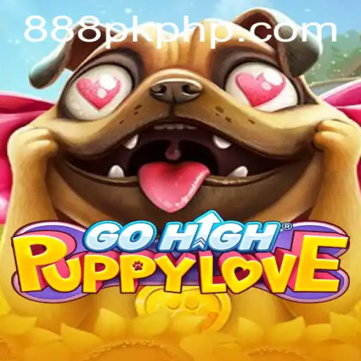 Exploring the Exciting World of 